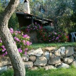 Casa Vacanze La Baghera - La Baghera - Barbecue e Piscina