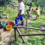 Casa Vacanze La Baghera - La Baghera - Orto