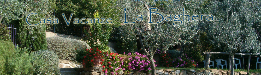 Casa Vacanze "La Baghera" e "La Baghera Alta" Nel Cuore della Toscana