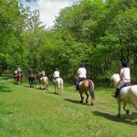 Casa Vacanze La Baghera – Passeggiate a Cavallo