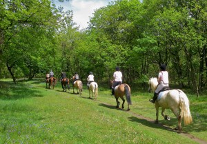 Casa Vacanze La Baghera – Passeggiate a Cavallo