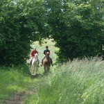 Casa Vacanze La Baghera – Passeggiate a Cavallo