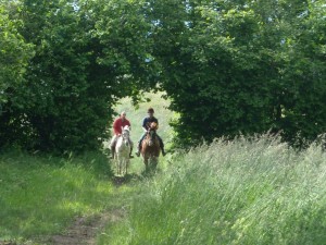 Casa Vacanze La Baghera – Passeggiate a Cavallo